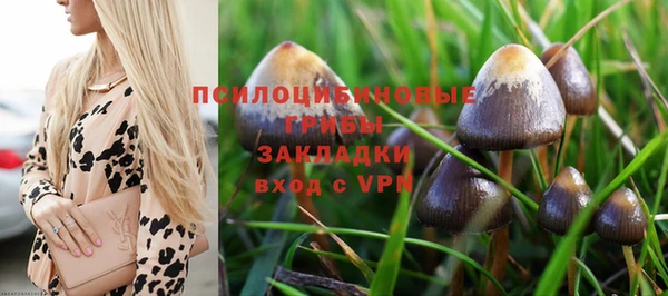 бутират Алексин