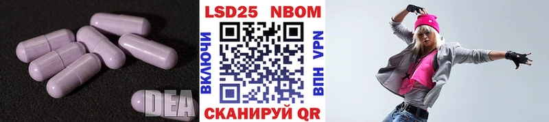 kraken вход  Берёзовка  Лсд 25 экстази кислота 