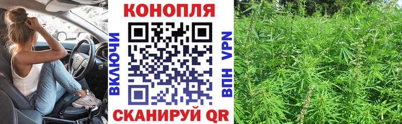 Бошки Шишки MAZAR Берёзовка